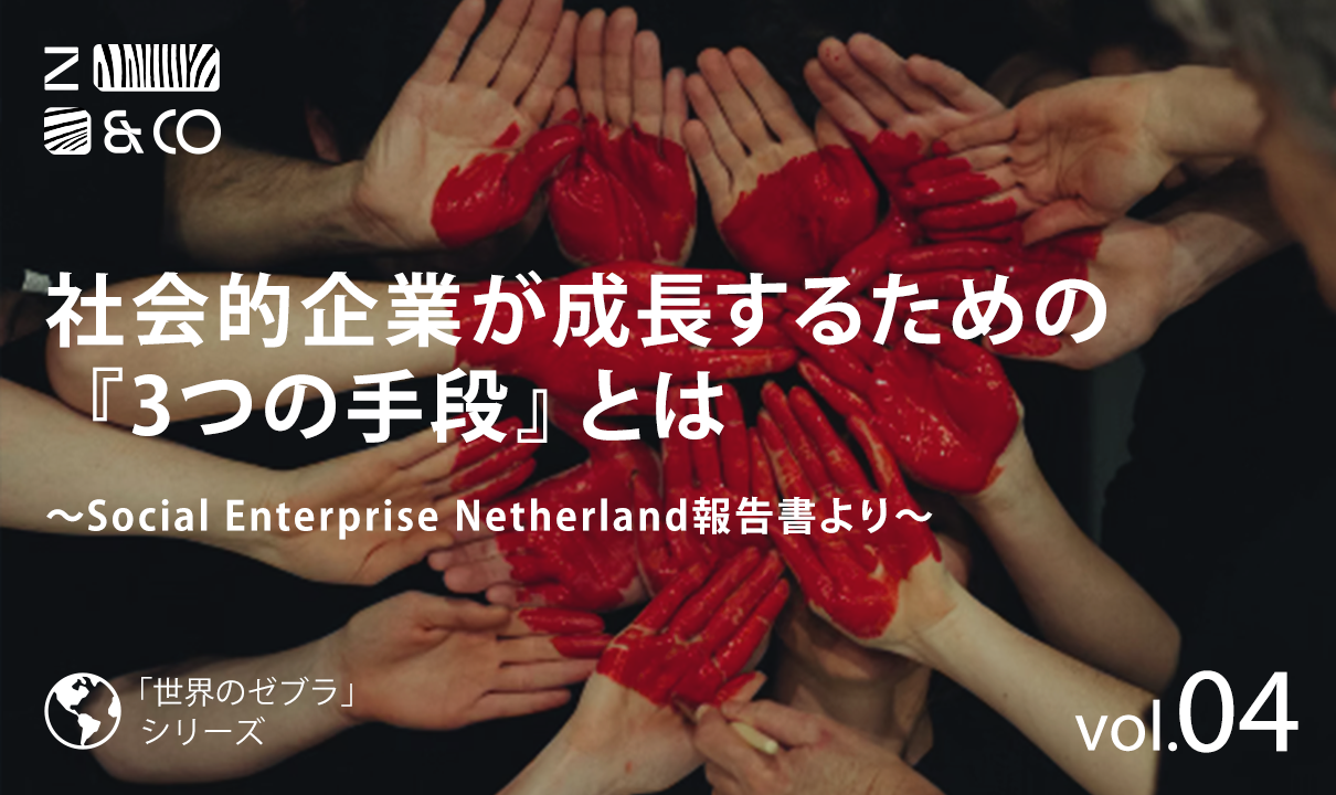 社会的企業が社会により大きなインパクトを与えるための『3種類の戦略』。オランダSocial Enterprise Netherlands報告書よりのイメージ