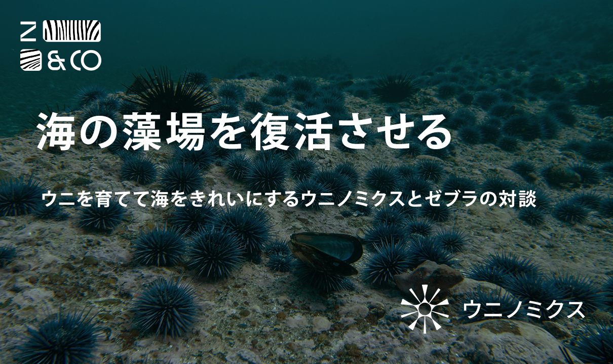 ウニを育てて海を綺麗にするウニノミクスのイメージ