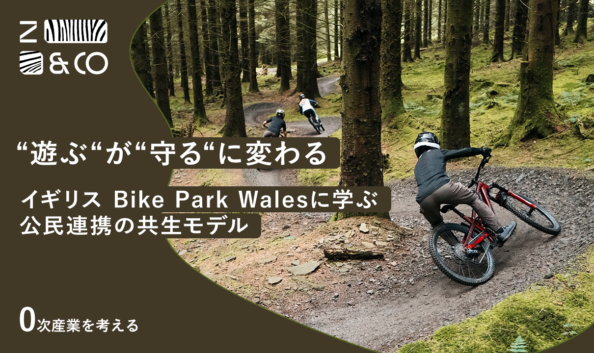 0次産業で森を守る──Bike Park Walesに学ぶ公民連携の共生モデル ｜ ZEBRAS AND COMPANY | 株式会社 ゼブラアンドカンパニー